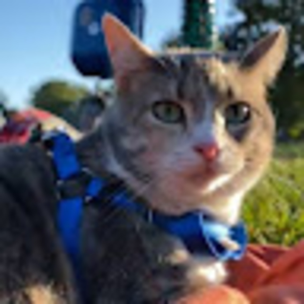 Meet your Posher, Mari